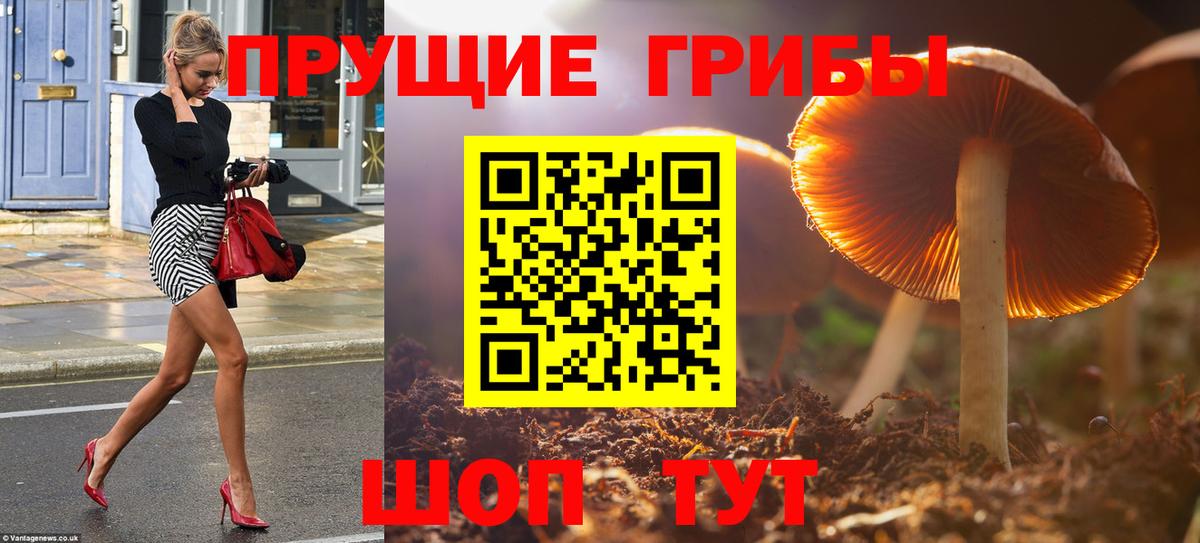Псилоцибиновые грибы GOLDEN TEACHER Зеленодольск