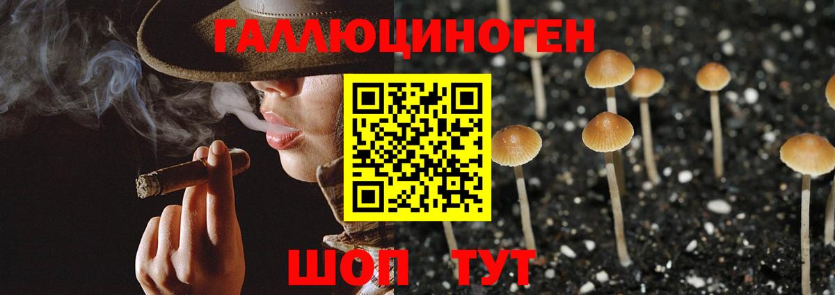 Зеленодольск  Галлюциногенные грибы Psilocybine cubensis  Вход с VPN 